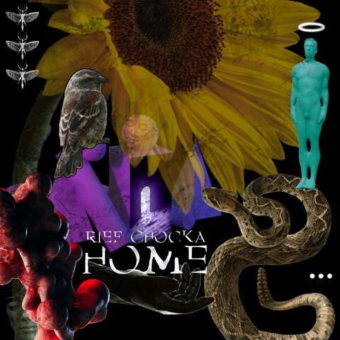 Home