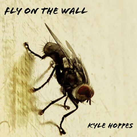 Fly on the Wall