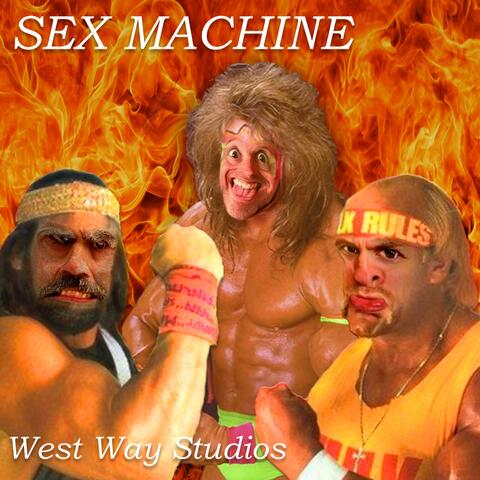 SEX MACHINE