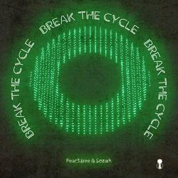 Break The Cycle (feat. Sozark)