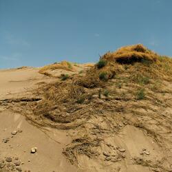 Hill Fort
