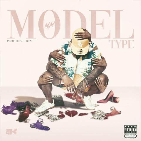 Model Type