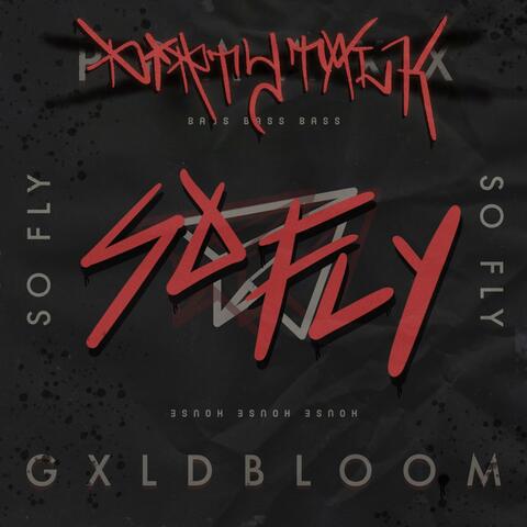 So Fly (VIP) (feat. GXLDBLOOM & PPAAXX)