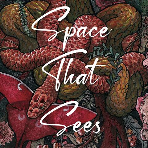 Space That Sees