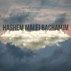 Hashem Malei Rachamim (feat. YIDDIE)