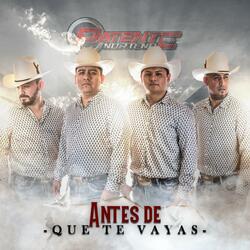 Antes de que te vayas