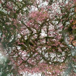 kaleidoscope