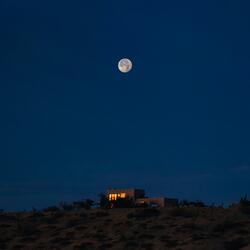 stargazer
