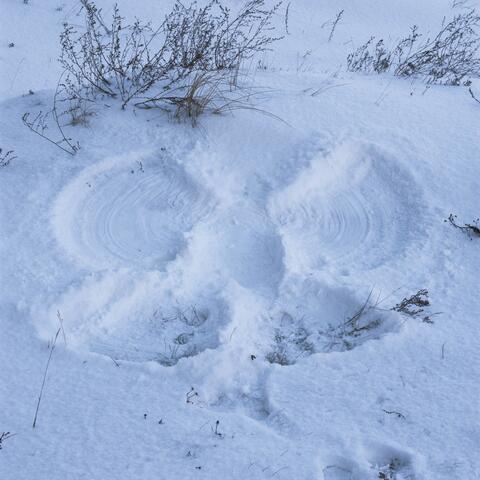 snow angel