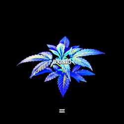 Iconic (feat. Catchxxii)