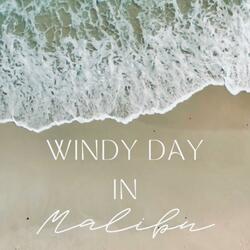 Windy Day In Malibu