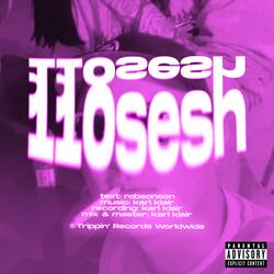 110sesh (feat. robsonson)