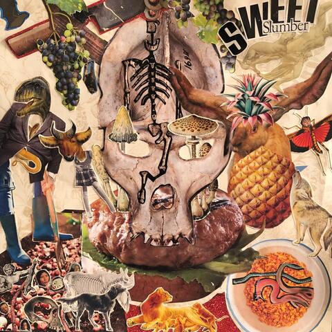 Collage Beats: Cowbells & Congas Collection