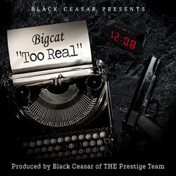 Too Real (feat. Big Cat)