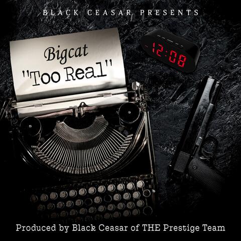 Too Real (feat. Big Cat)