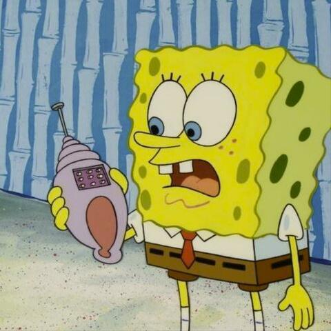 NEXTEL CHIIRP