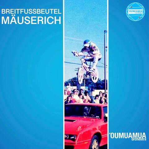 Breitfussbeutelmäuserich