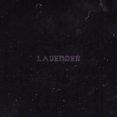 Lavender