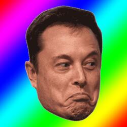 Elon Musk Diss