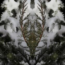 Mathematics of Frost