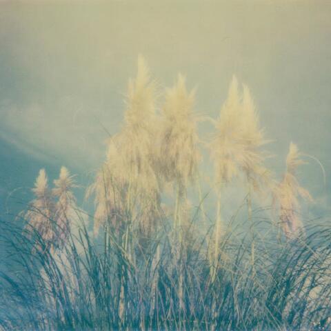 Lightningthunderrain