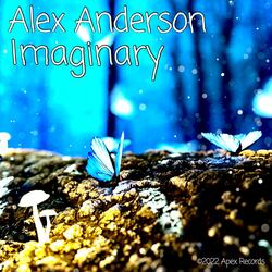Imaginary
