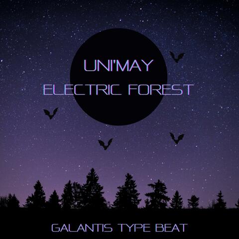 Electric Forest