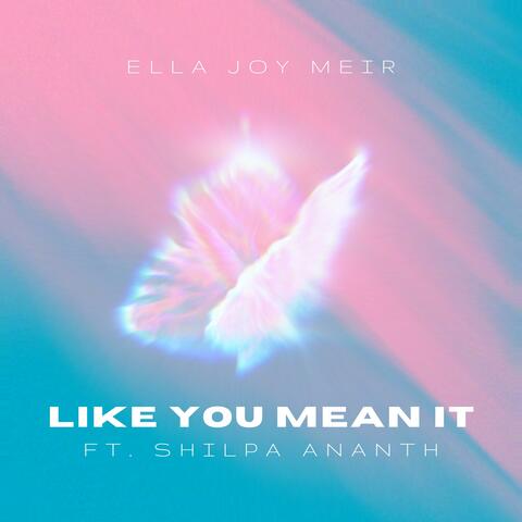 Like You Mean It (feat. Shilpa Ananth)