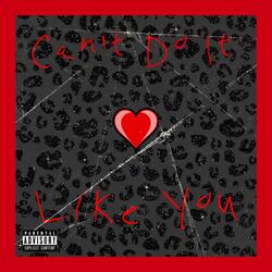 Can't Do It Like You