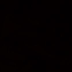 There's Still A Thousand Stars Left In Wonderland