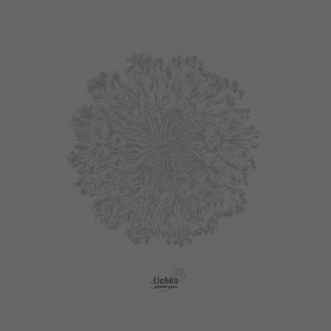 Lichen {ambient works}