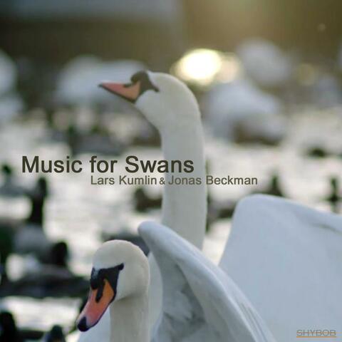 Music for Swans