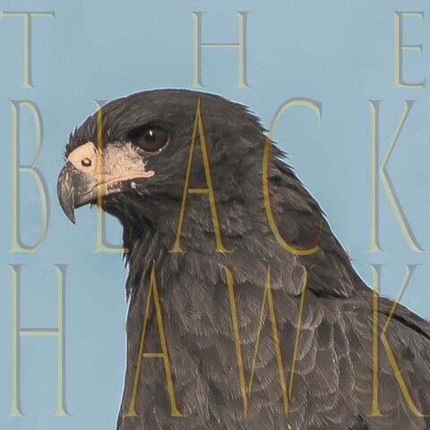 The Black Hawk (and Picketing)