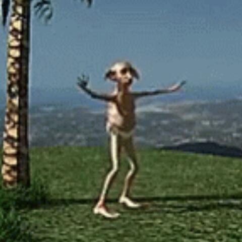 DOBBY (feat. FlemNgo)