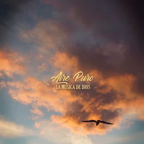 Aire Puro