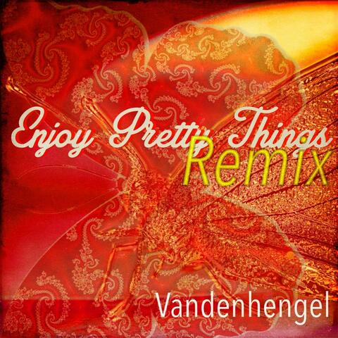 Enjoy Pretty Things (feat. Janet Camies) [Remix]