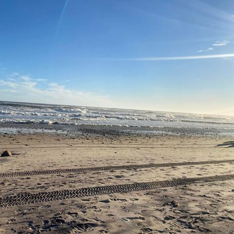 Meet Me on The Beach at Noon