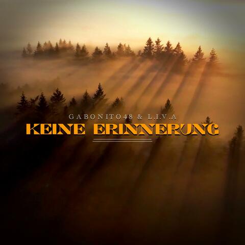 Keine Erinnerung (feat. L.I.V.A)