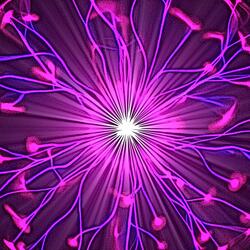 Brain Zap