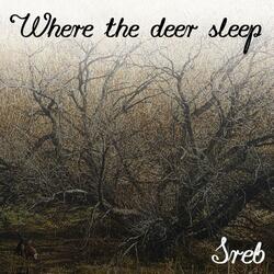 Where the Deer Sleep