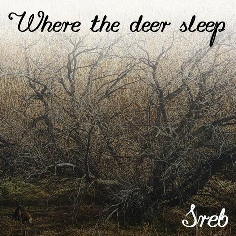 Where the Deer Sleep