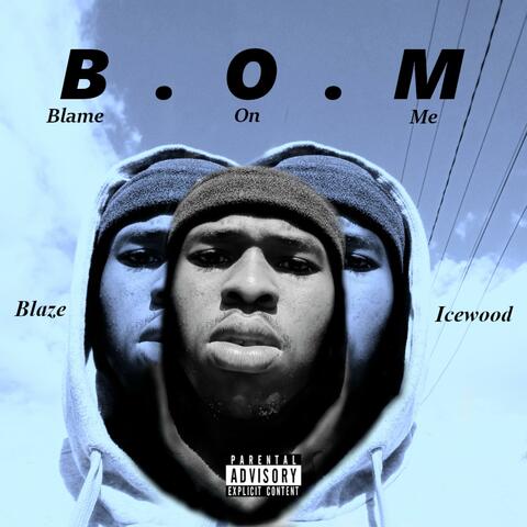 Blame On Me