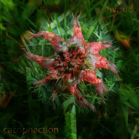 Hybrid