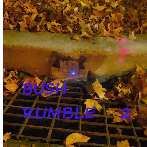 Bush Rumble 2