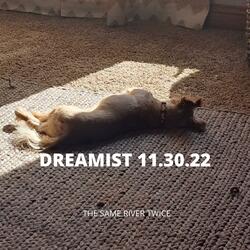 Dreamist 11.30.22