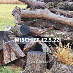 Mischief 12.5.22