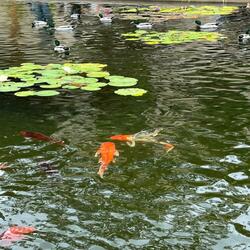 Brink (feat. Bonekichi)