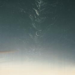 moonlight