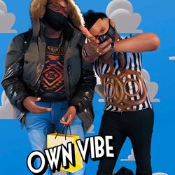 OWN VIBE (feat. MIKEY ALEXANDRE)