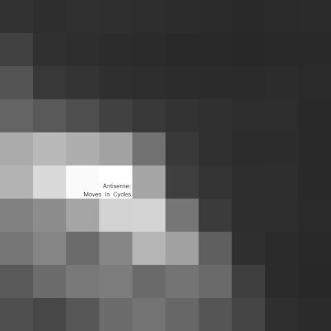 Antisense: Moves In Cycles